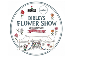 Dibley's